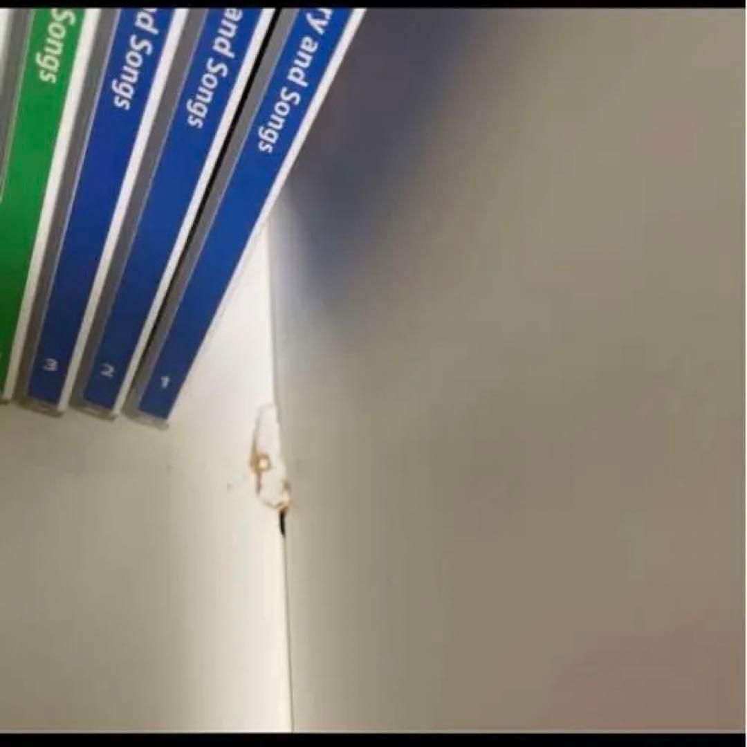 ディズニー英語システム