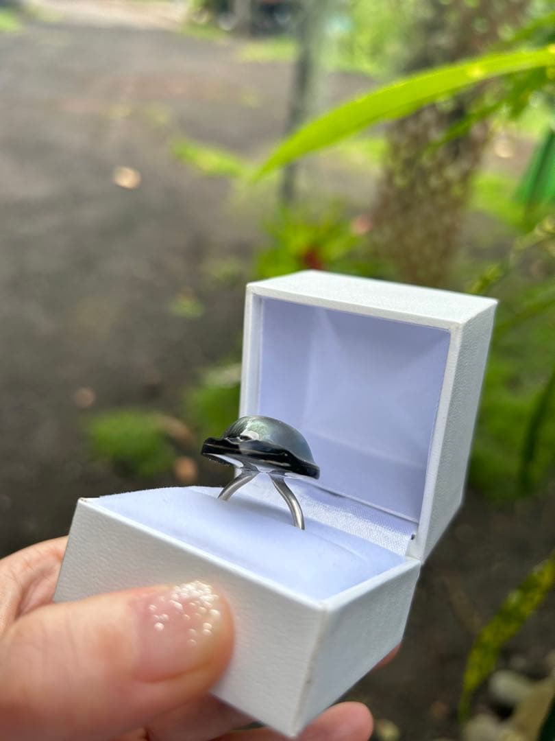 希少　黒蝶真珠　タヒチパール　タヒチマペパール　リング