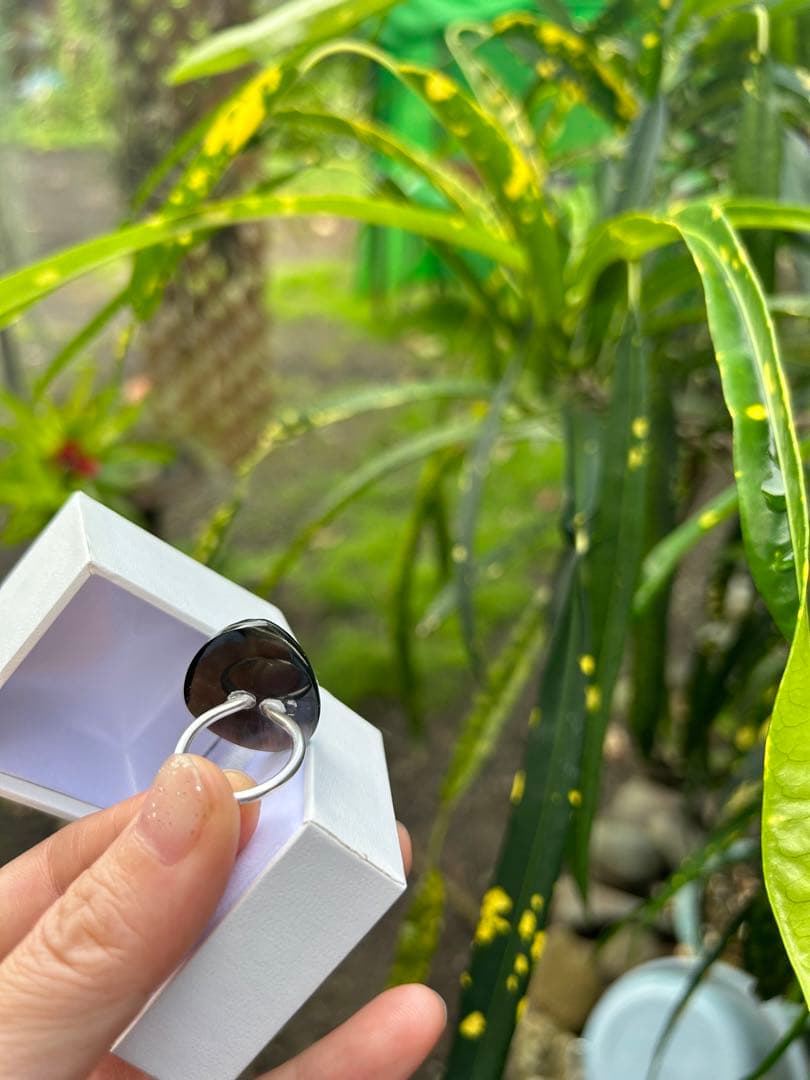 希少　黒蝶真珠　タヒチパール　タヒチマペパール　リング