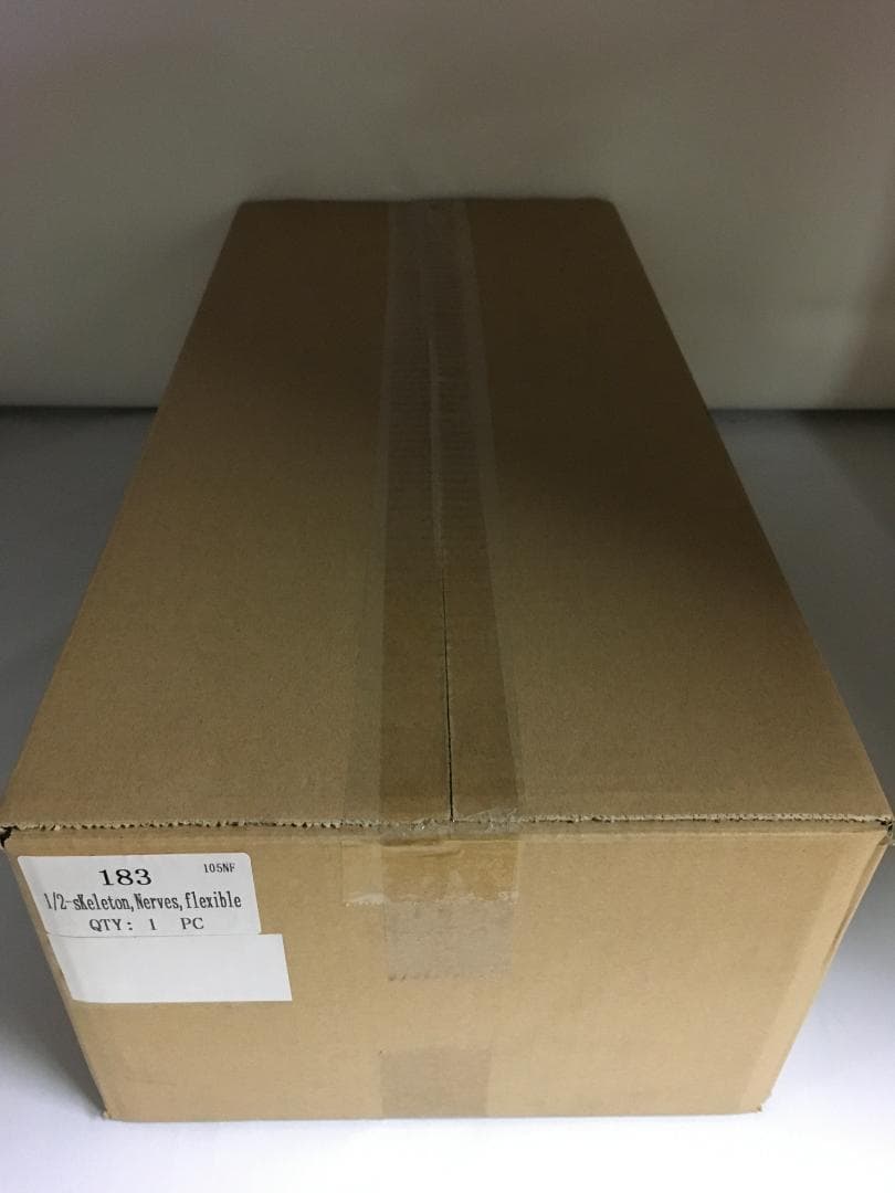 1/2サイズの全身骨格模型 約85cm 骨格モデル 動かせる大関節