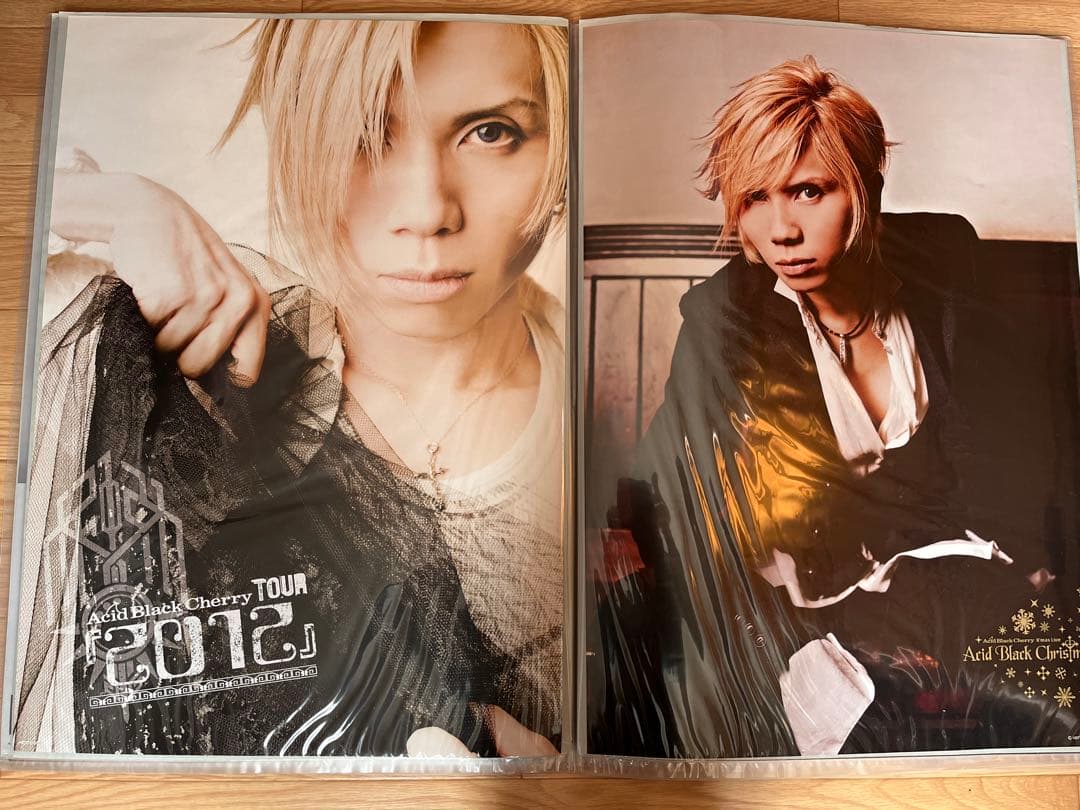 32枚Acid Black Cherry CD予約特典・ツアーポスター　②