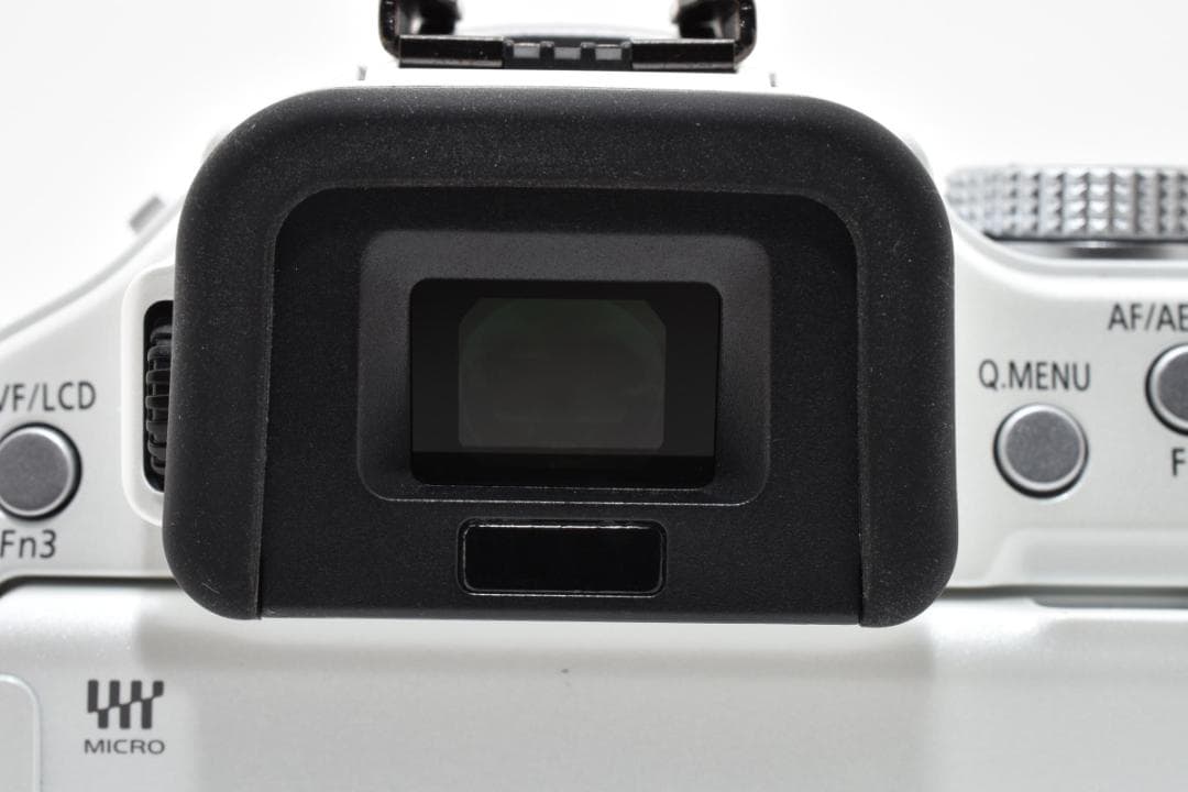 美品・S数1463回 Panasonic LUMIX DMC-G5 ボディ