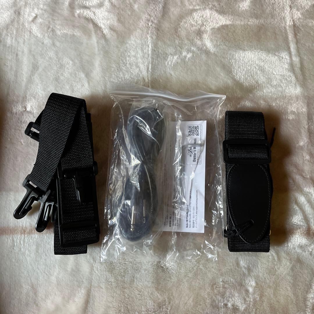 Aria Retro Classics RETRO-1532J 3TS　ビザール