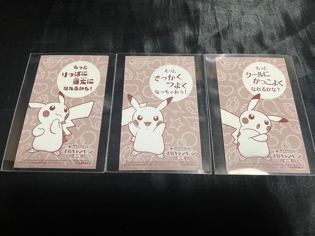 ピカチュウ メガポンチョ 名刺カード 3枚セット