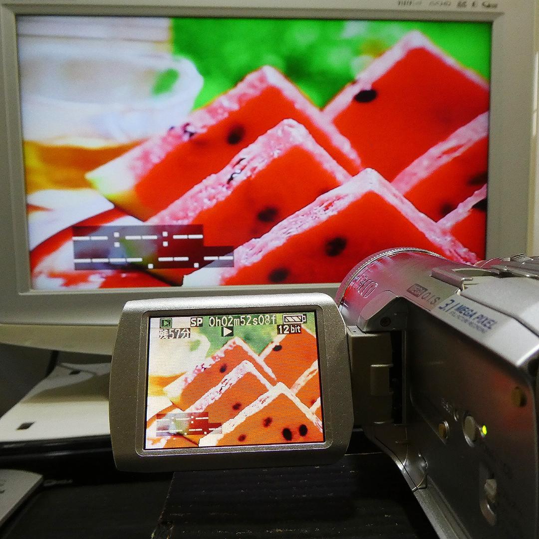 動作良好 パナソニックNV-GS250 MiniDVビデオ　DVD化に最適