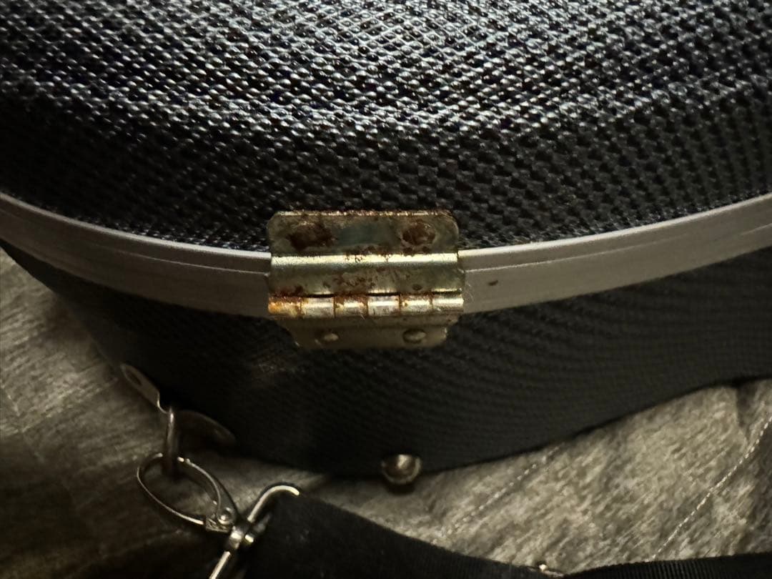 ザ*ク様 ポルカドットスティングレイ サイン入りアコースティックギター