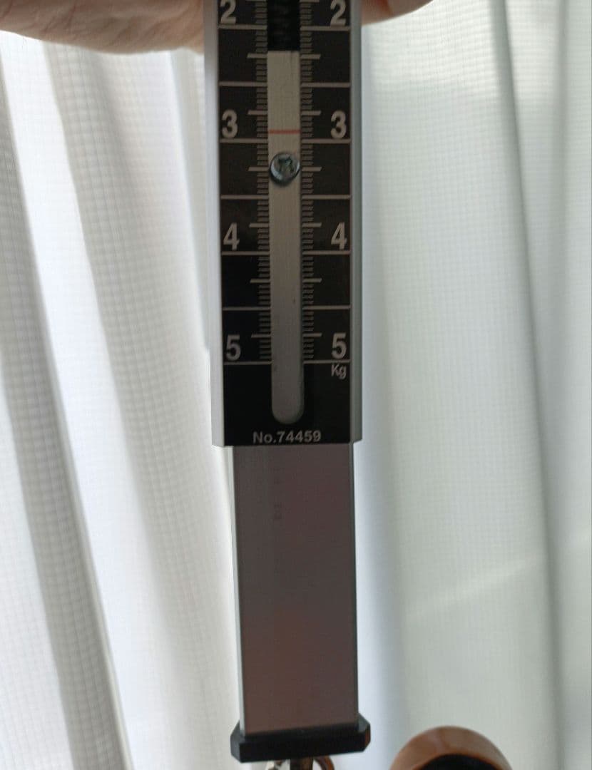 Epiphone Flying V 1958 Korina 　Gibson