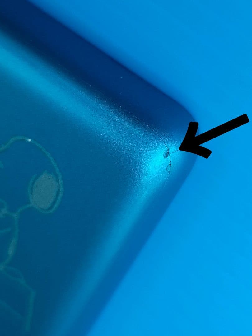 SONY WALKMAN NW-S313K「SNOOPY Style …