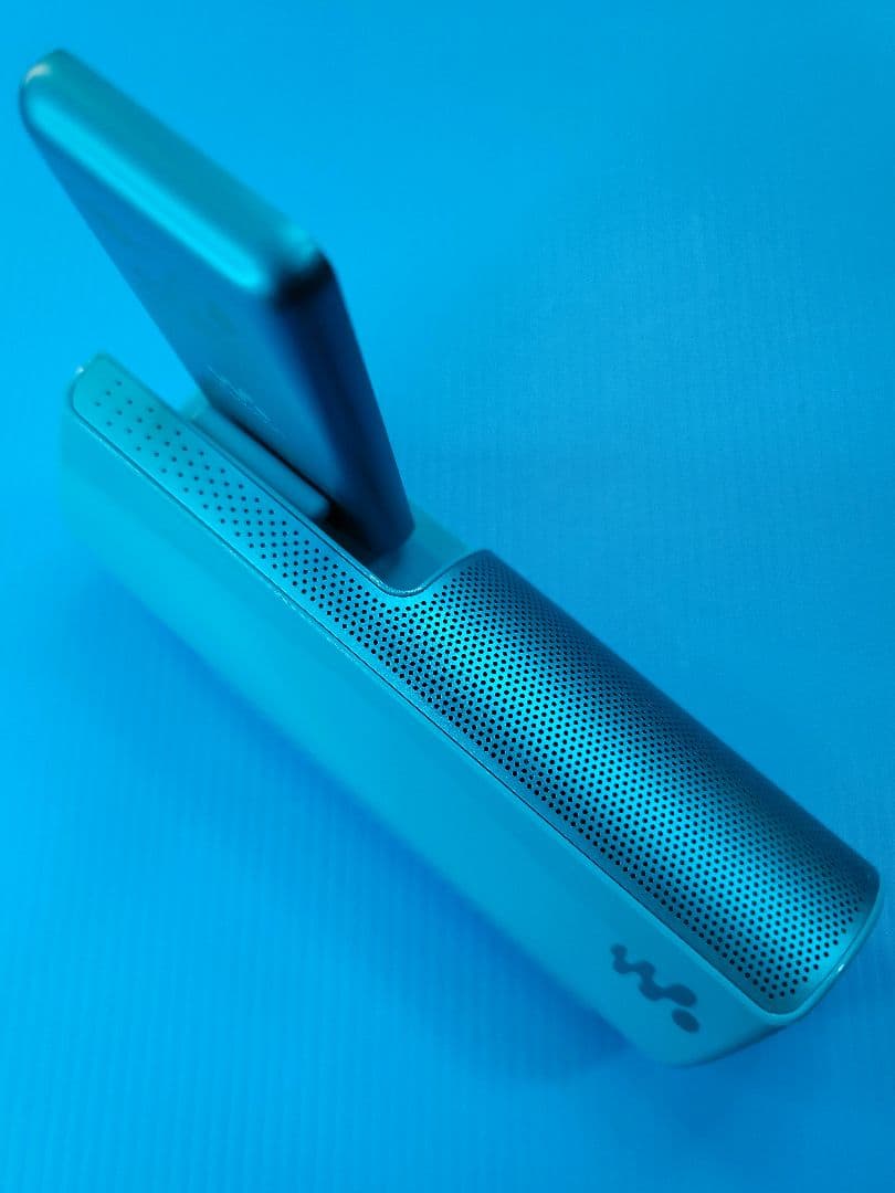 SONY WALKMAN NW-S313K「SNOOPY Style …