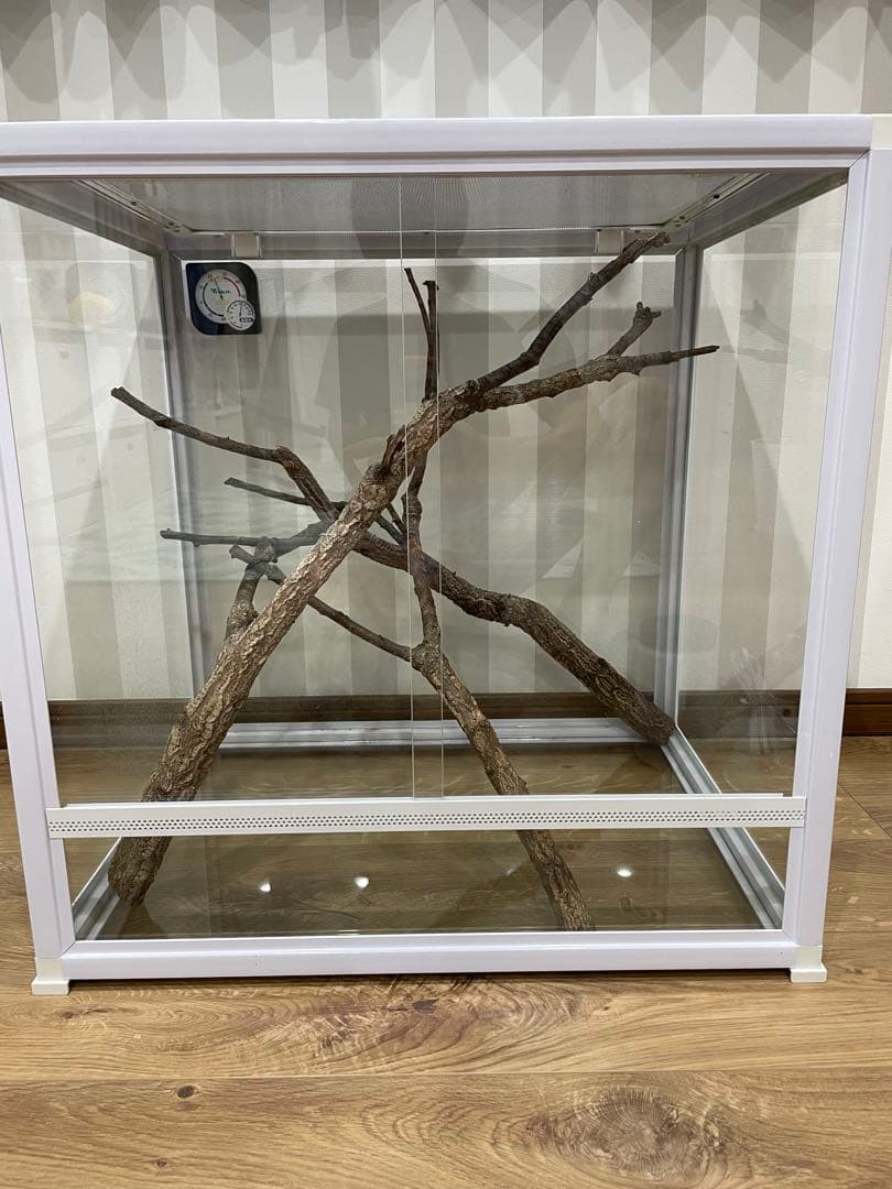 ガラス飼育ケージ　爬虫類　カメレオン　通気性メッシュ蓋付き