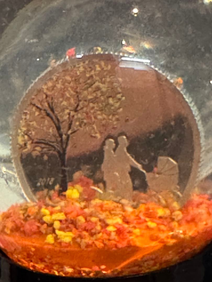 コレクション India Summer Globe Silver Coin