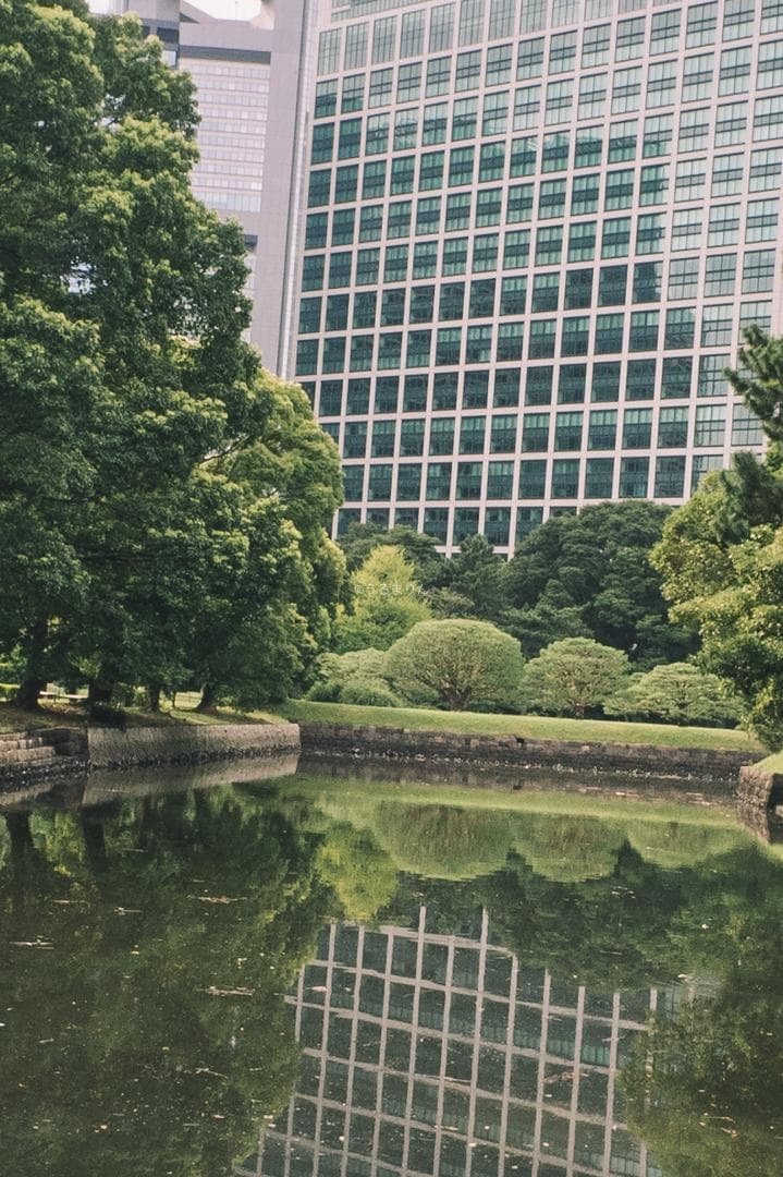 ズノーが1万円以下！Eマウント解禁！ZUNOW Cine 14mm F1.9