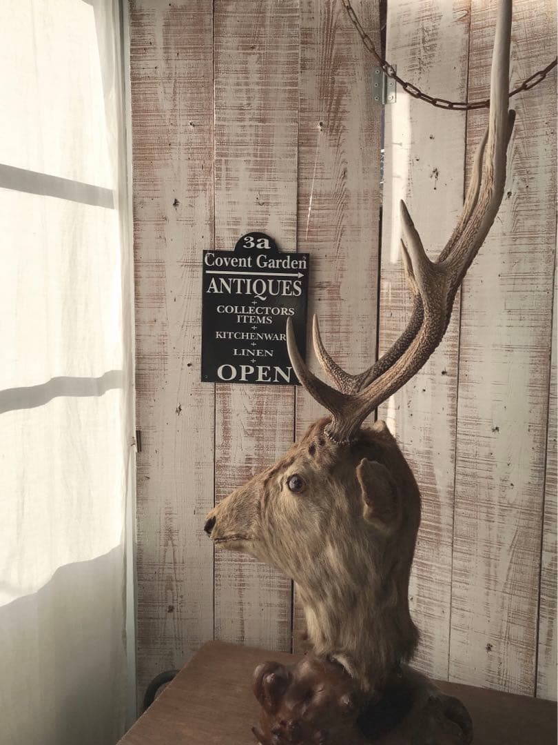 ヴィンテージ　鹿　剥製　土台付き