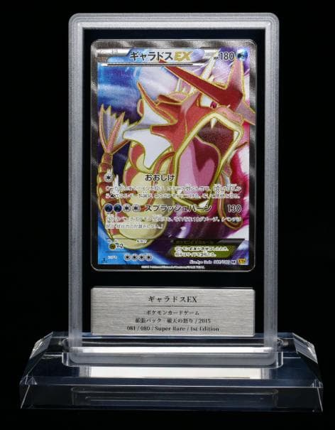【Gemix鑑定品】ギャラドスEX SR XY9 破天の怒り 081/080