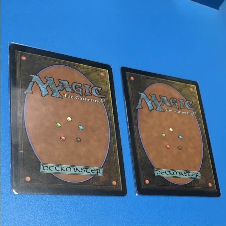 MTG 復讐蔦 vengevine 英語版 二枚セット