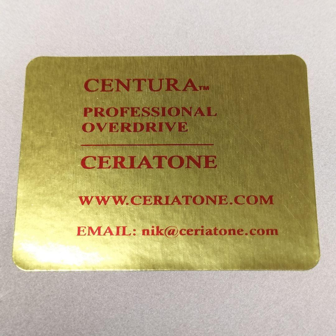 Ceriatone / Centura Matte Gold 絵付き 美品