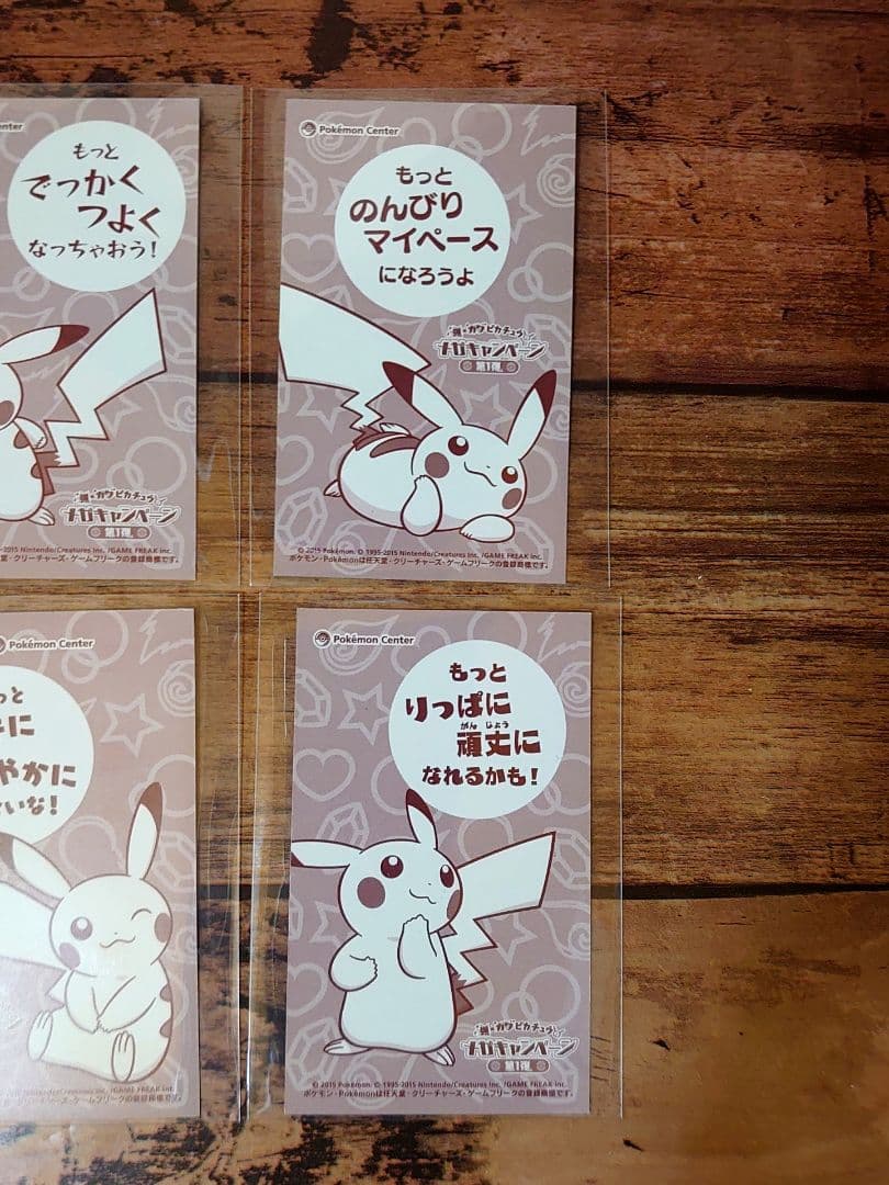 メガキャンペーン 第1弾 名刺カード 6種 ピカチュウ メガシンカ ポンチョ ②