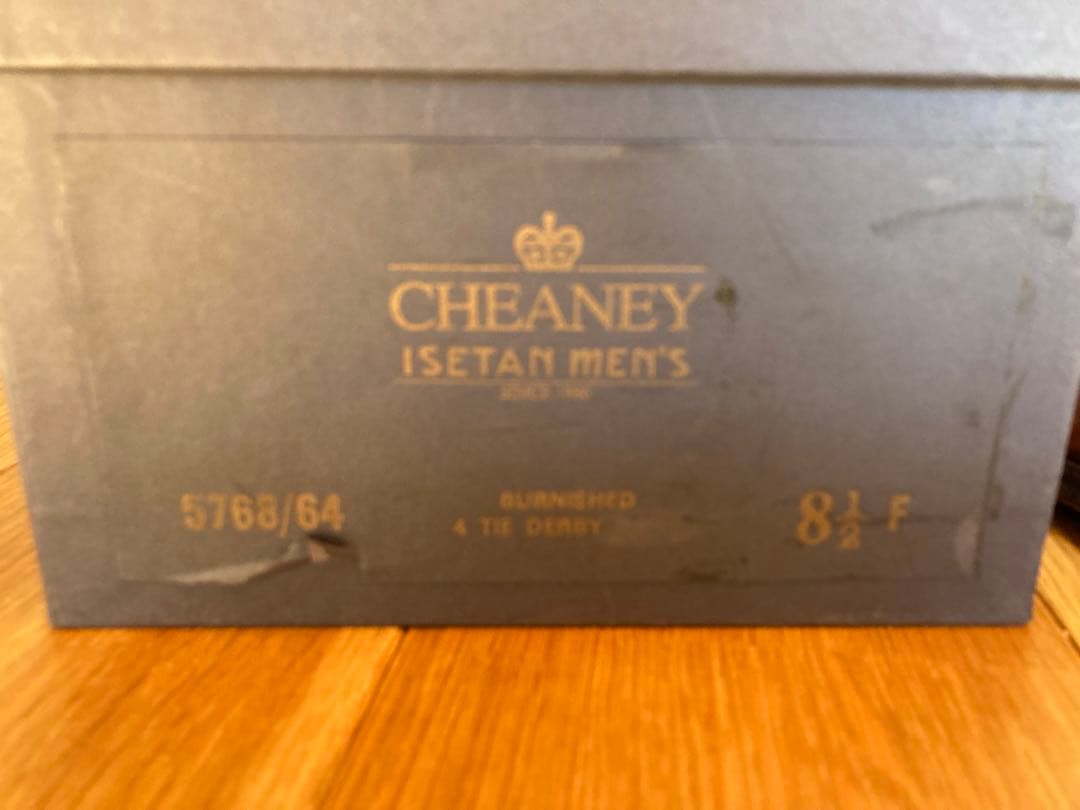 靴 CHEANY ISETAN men's 8 1/2