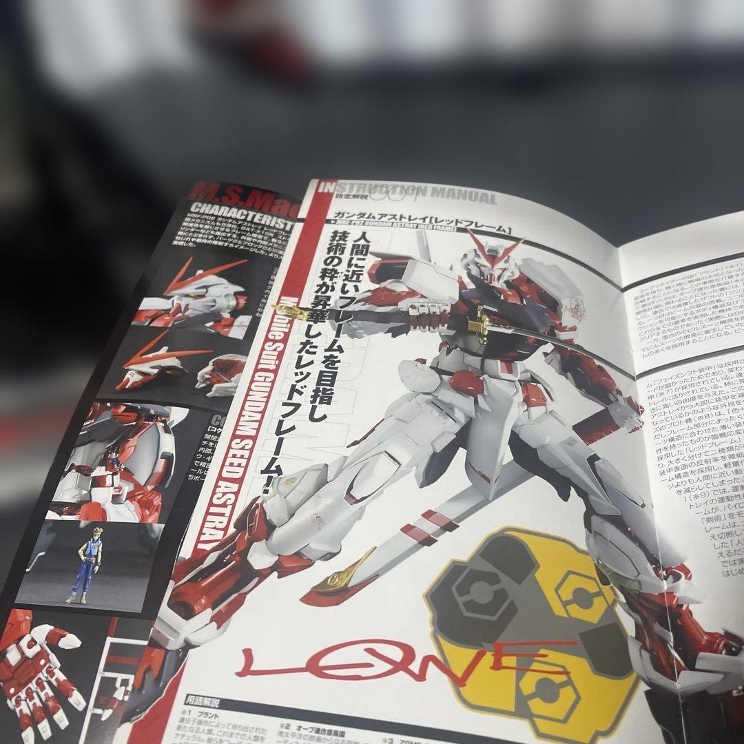 【癒し】PGガンダムアストレイ レッドフレームの組み立て済みジャンク品の出品です