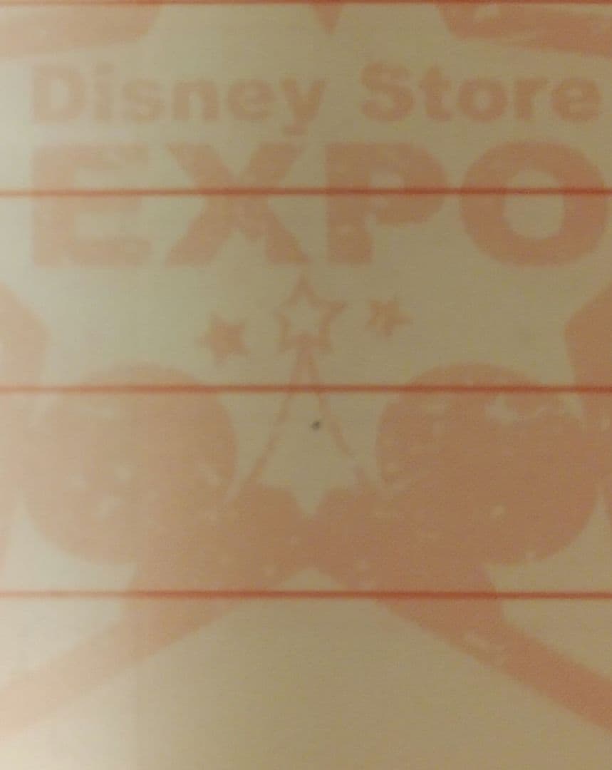 ディズニーストアエキスポ　ノート　チケット シール