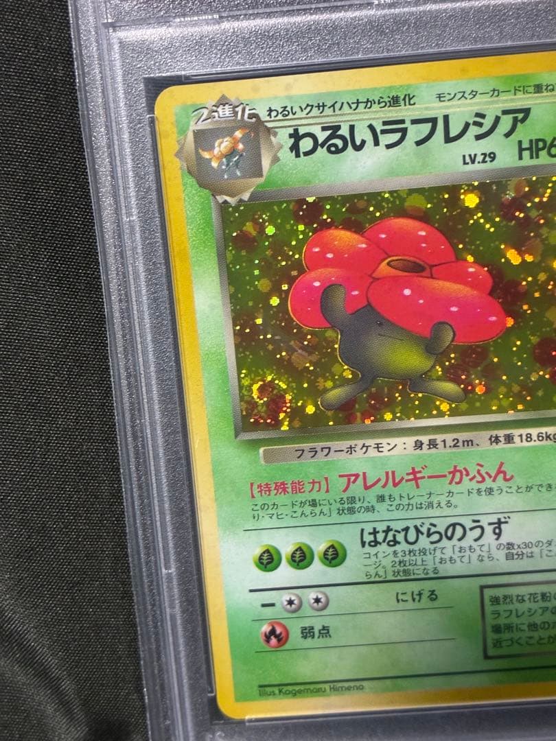 渦巻き 世界334枚 PSA10 わるいラフレシア 旧裏 1997 45 25