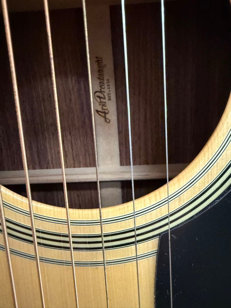 Aria Dreadnought アコースティックギター