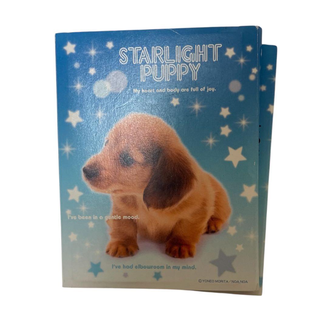 平成レトロ　スターライトパピー　ロングパタパタメモ　平成女児　メモ帳
