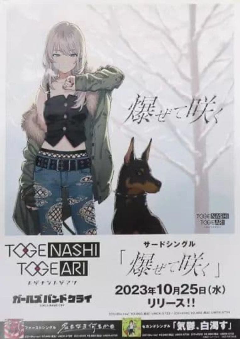 ガールズバンドクライ　B2ポスター　爆ぜて咲く