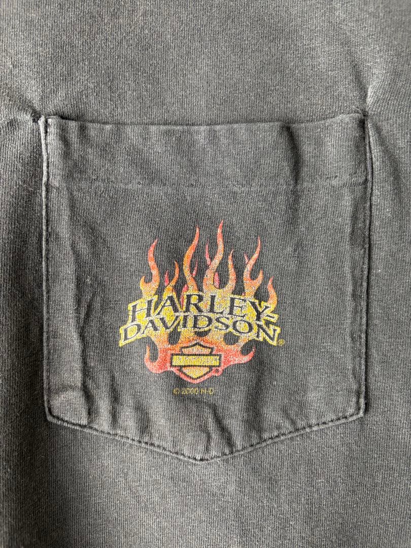 90s USA製ヴィンテージ　Harley-Davidson 袖フレイムTシャツ