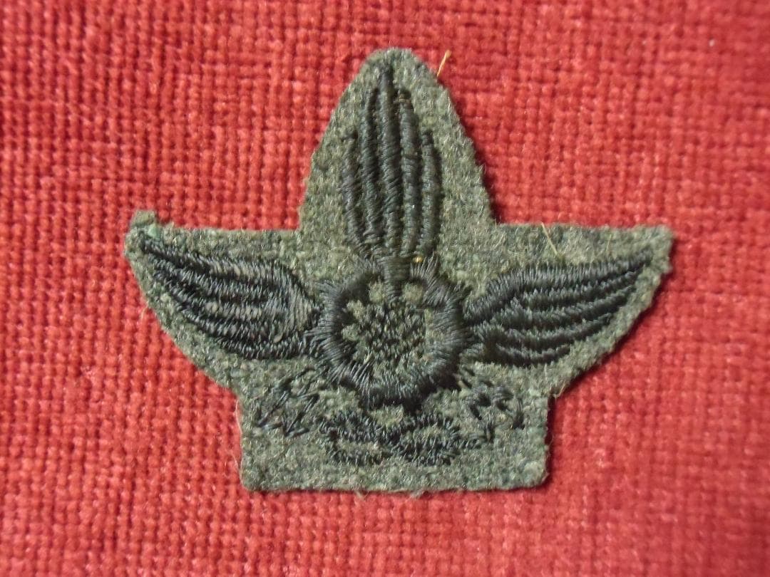 Ｉイタリア軍＊１９４０年代＊陸軍＊輸送軍団略帽章（実物）