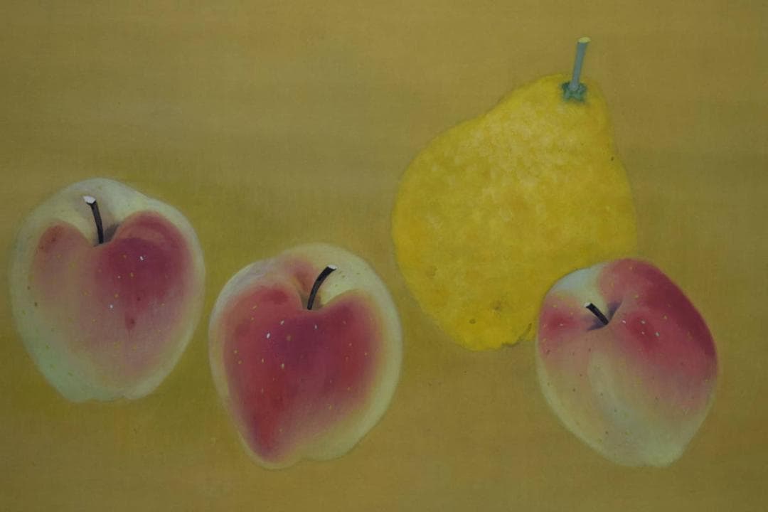 真作/五十棲子元/香果図/桐共箱付/布袋屋掛軸HH-949