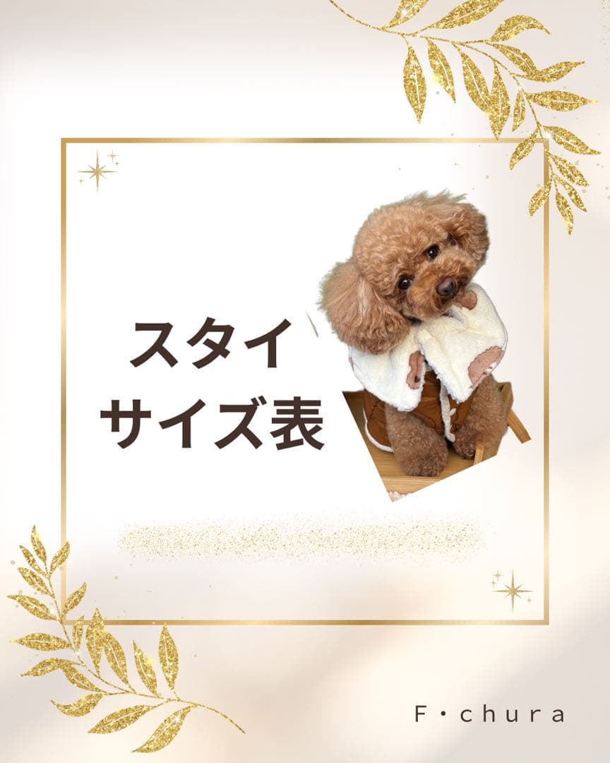 スタイ サイズ表