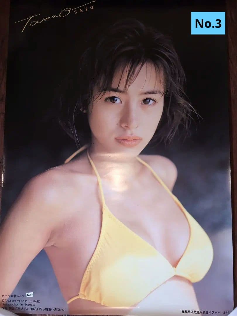 ・さとう玉緒 ポスター11枚セット ◆ 非売品 ◆