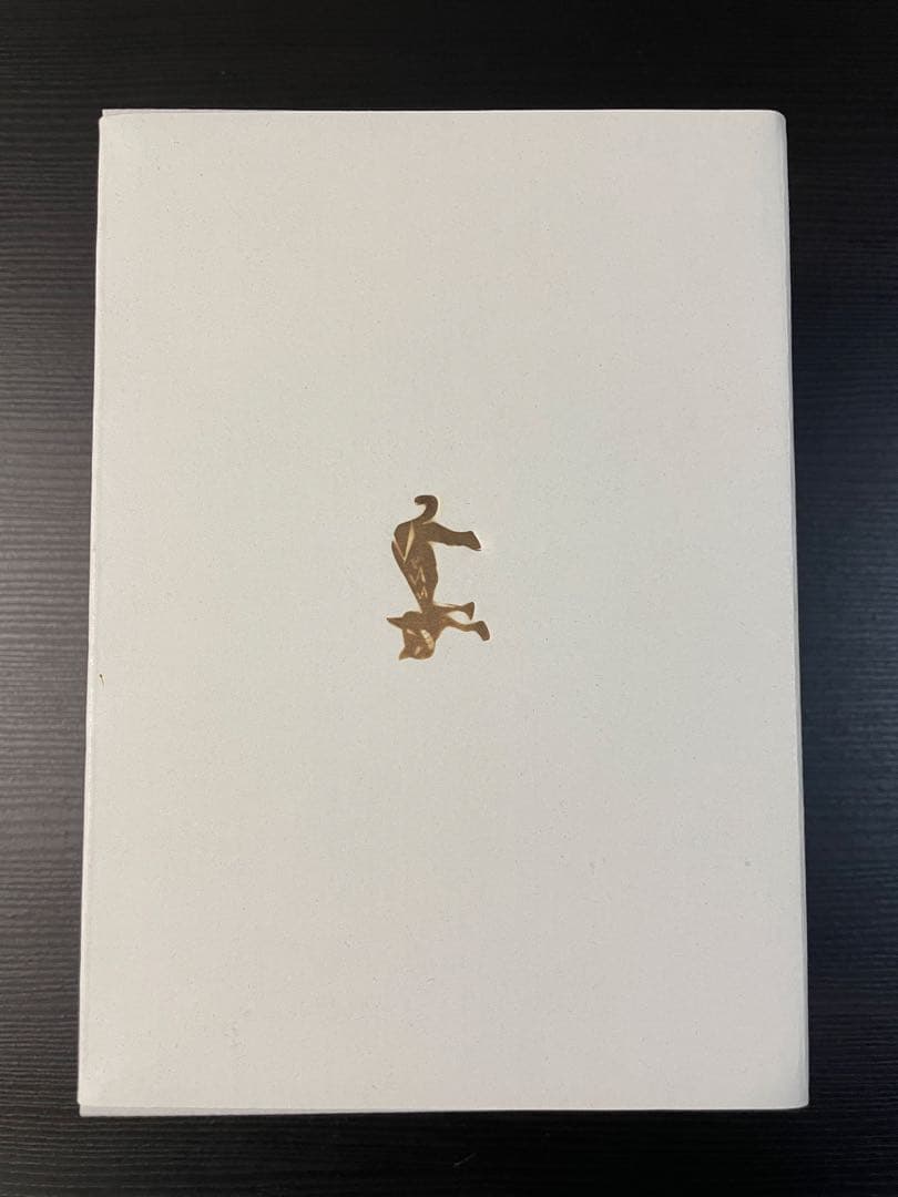 ギター RoShi Pedals plexion