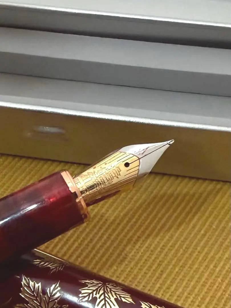 特殊な？万年筆４本セット モンテヴェルデ　オムニフレックス　長刃ペン先　ほか