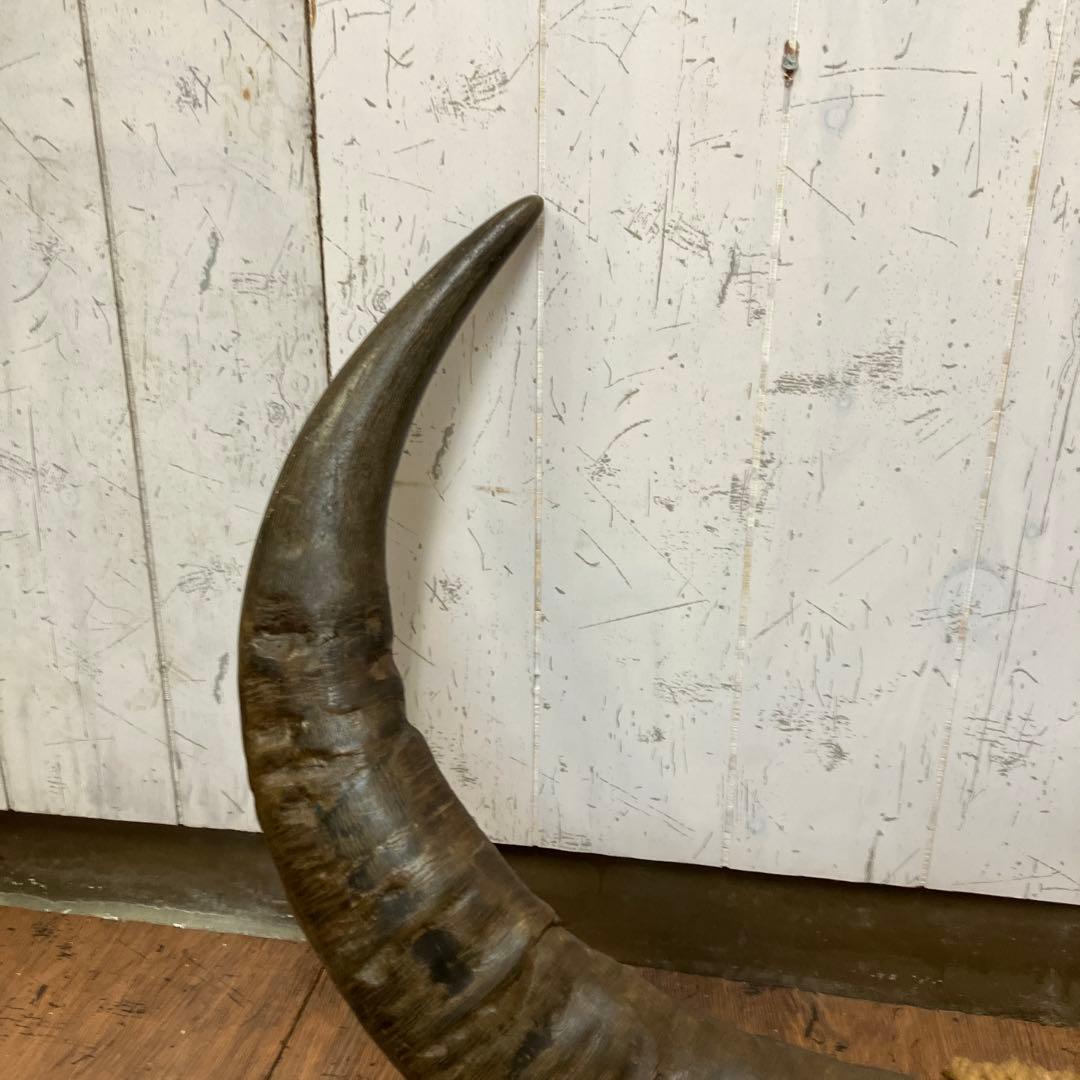 A-2 アンティーク ヴィンテージ 水牛 角 置物 ディスプレイ 彫り 彫刻