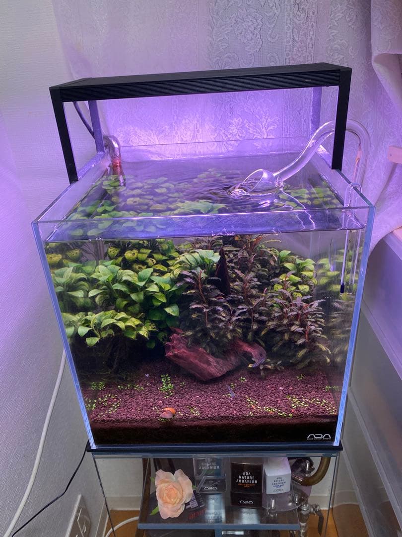 WRGB II SLIM RGB照明 チヒロス　ライト