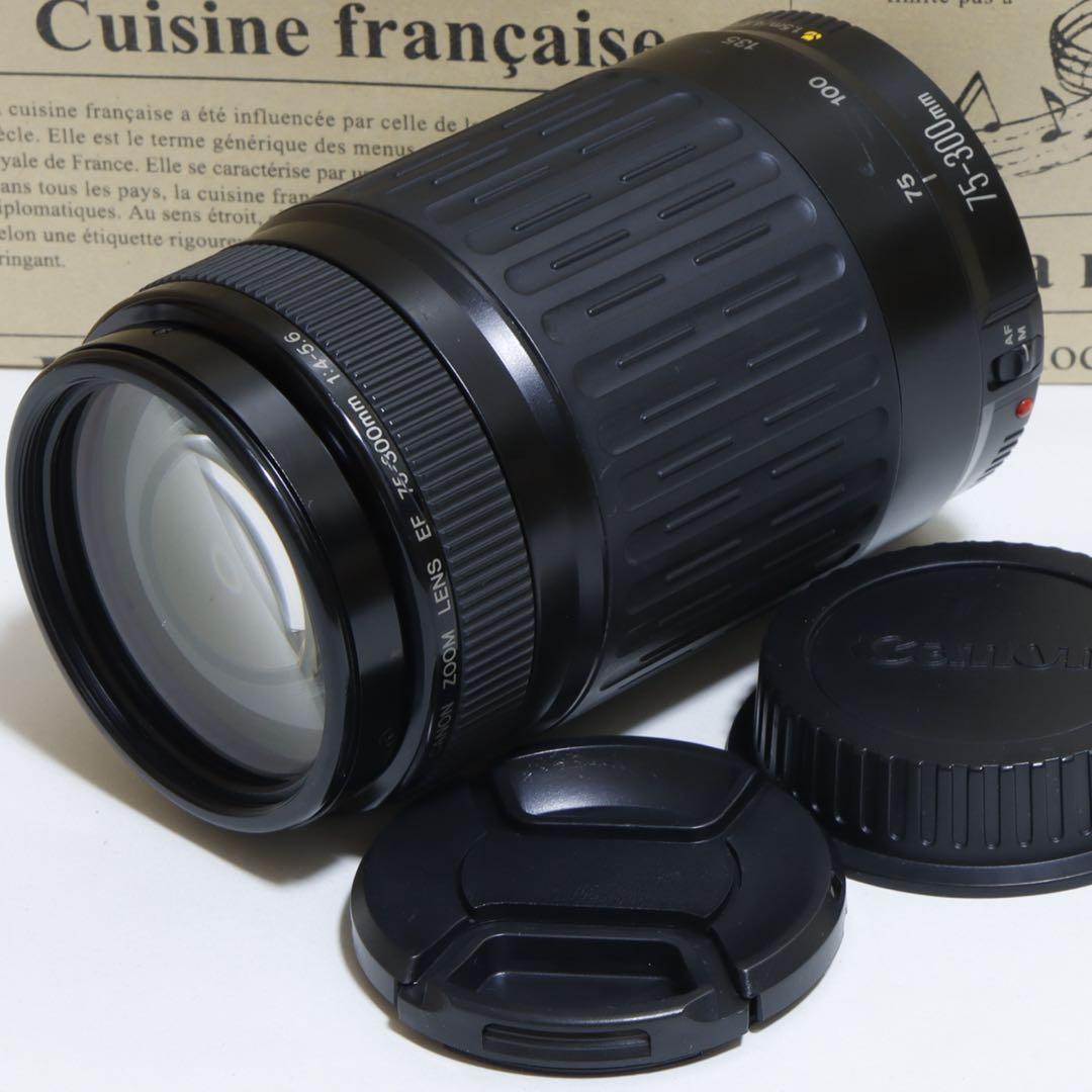 ◇大迫力300mm超望遠!!◇Canon純正 75-300mm 超望遠レンズ◇
