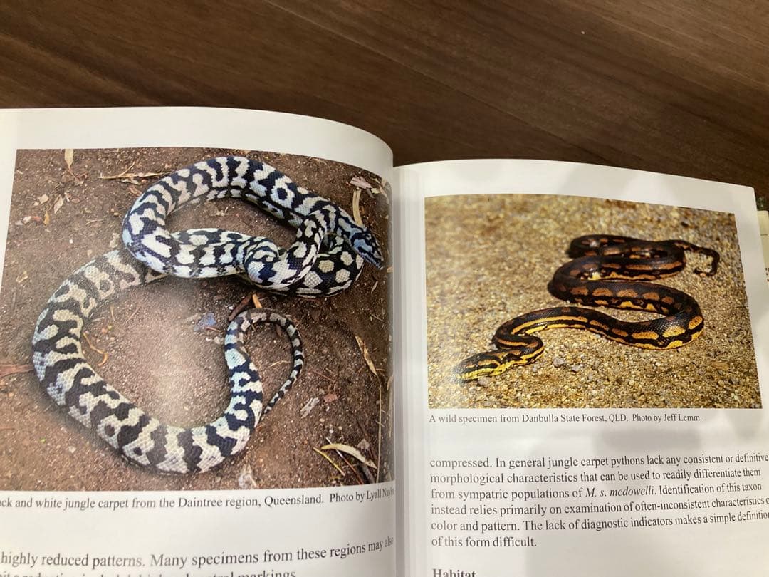 洋書 Complete Carpet Python 以下検索 蛇 パイソン ボア