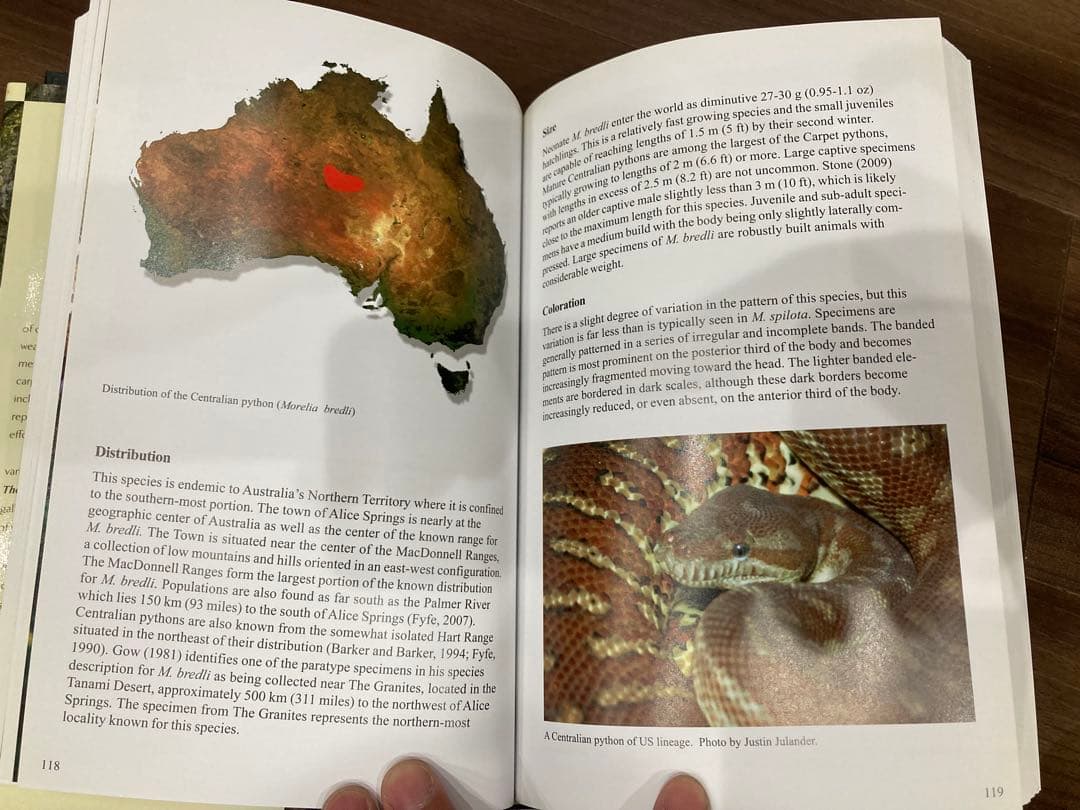 洋書 Complete Carpet Python 以下検索 蛇 パイソン ボア