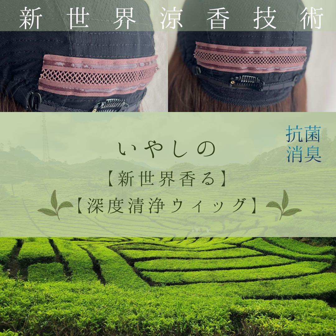 2025新世界　人毛100%　フルウィッグ　シルクスキン　医療ウィッグ　ブラック