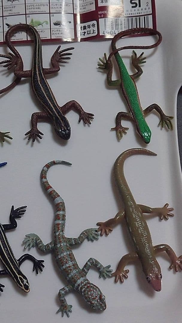 原色爬虫類トカゲ 図鑑　24体セット