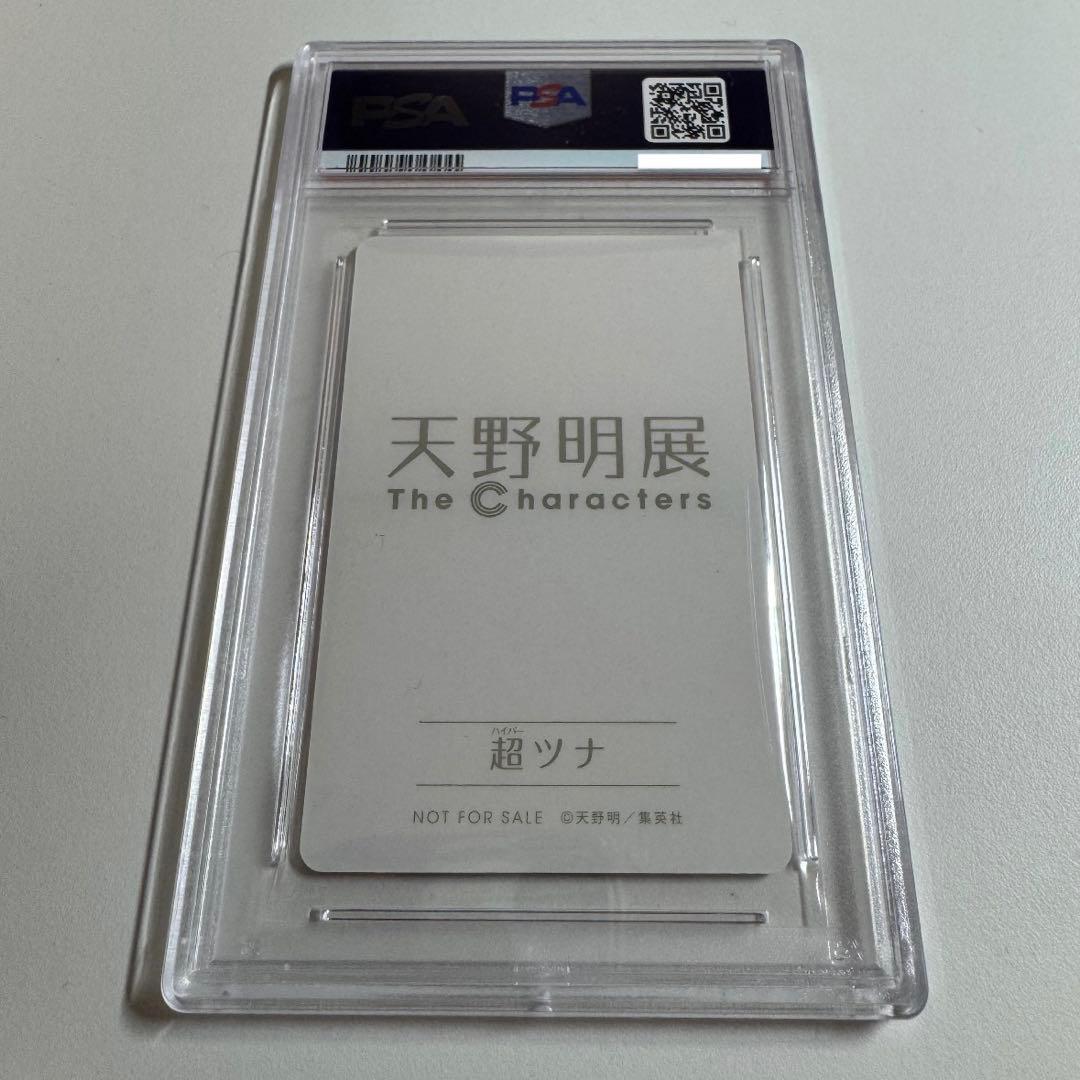 PSA10 超ツナ 自撮り 沢田綱吉