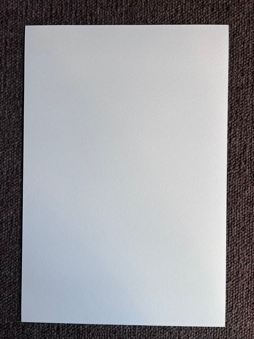 絵画 John Woo \"HE WEARS IT\" print