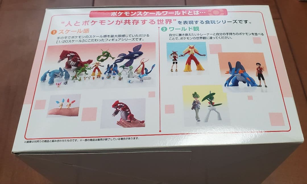 ポケモンスケールワールド ホウエン地方 セット 未開封