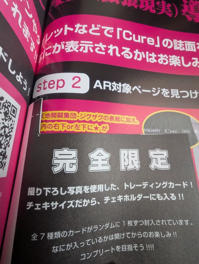 -真天地開闢集団-ジグザグ 会報 雑誌 まとめ売り