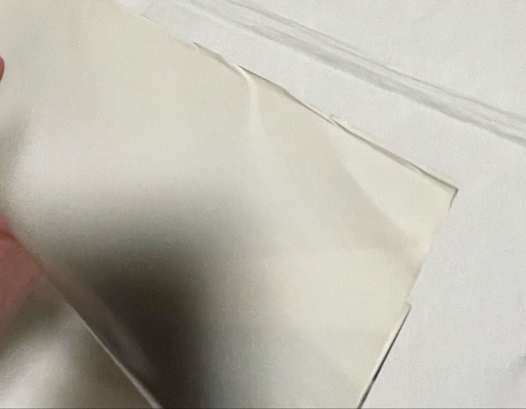 thee michelle gun elephant B2ポスター2枚 セット