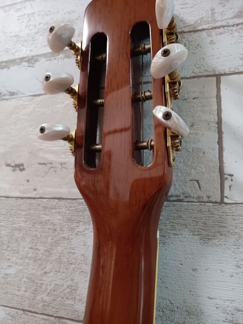 [ マカフェリ ] マカフェリギター　アコースティックギター