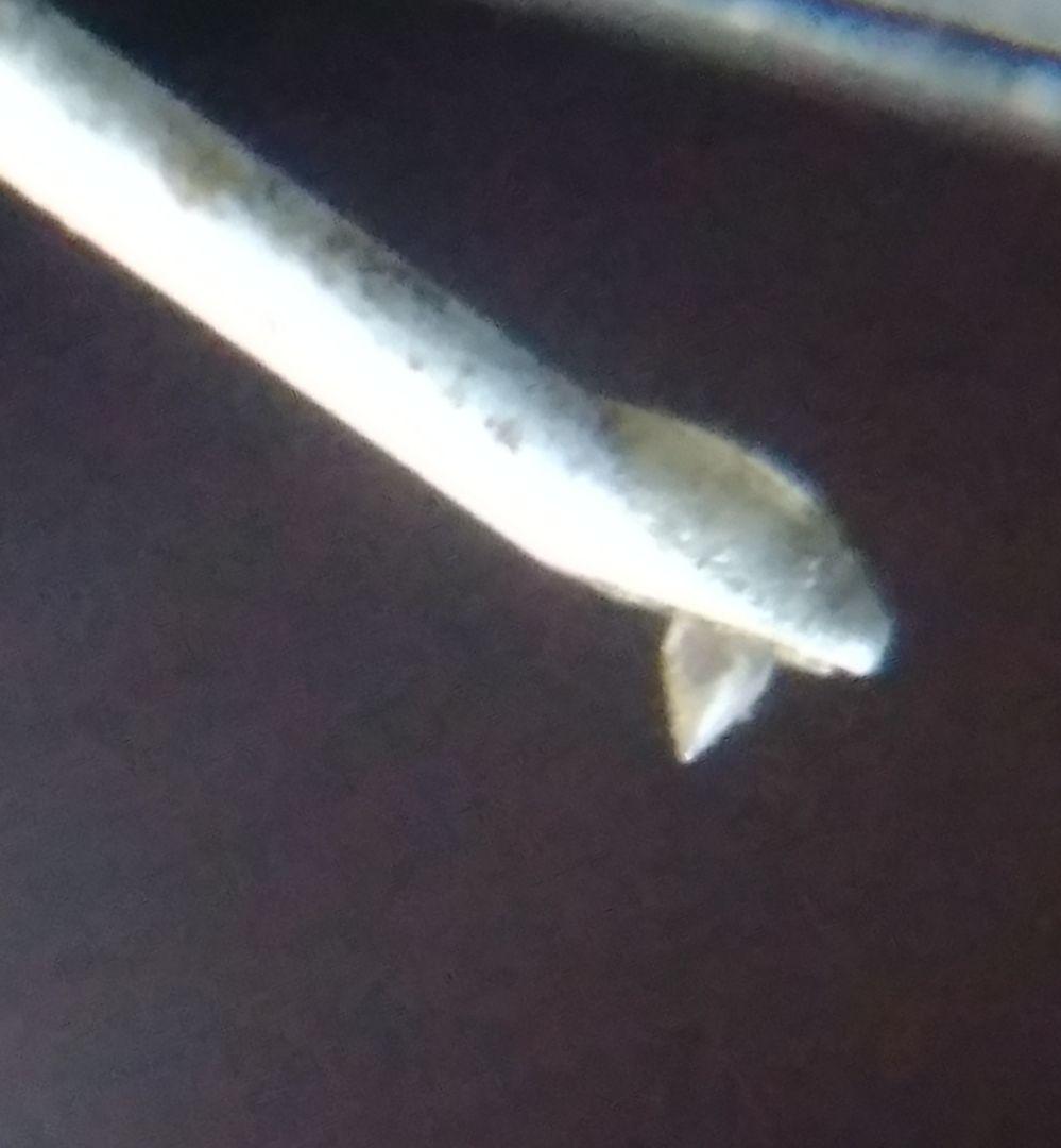 デノン MCカートリッジ DL-103 ヘッドシェルPCL-3 音質良好品