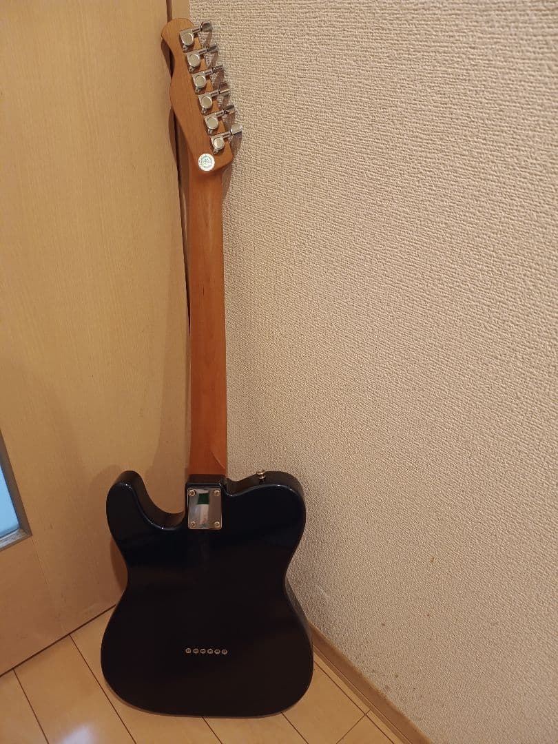 BACCHUS BTE-2-RSM/M DLPB テレキャスタータイプ